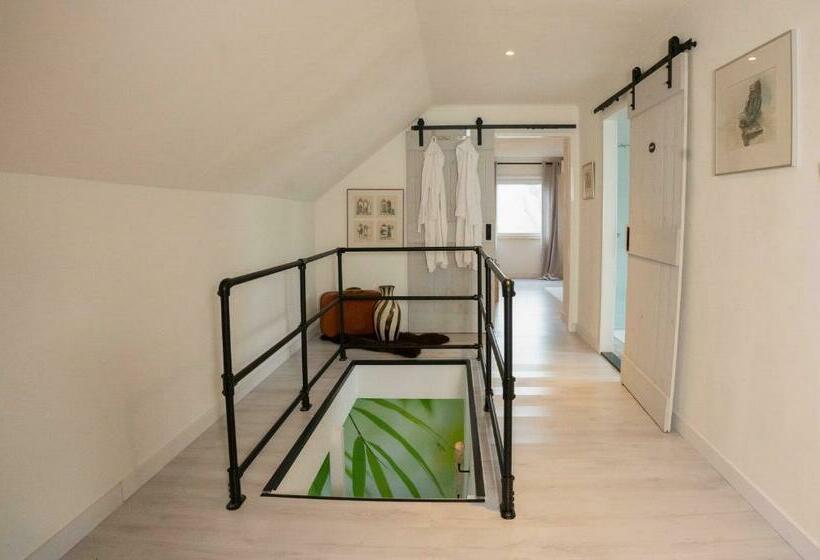 Номер Стандарт, B&b Hieris T