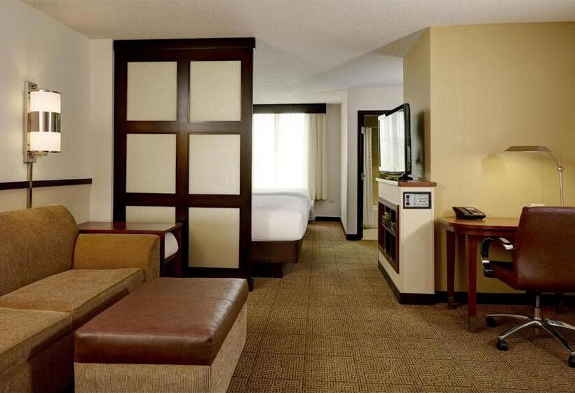 带大床的标准间, Hyatt Place Memphis Germantown