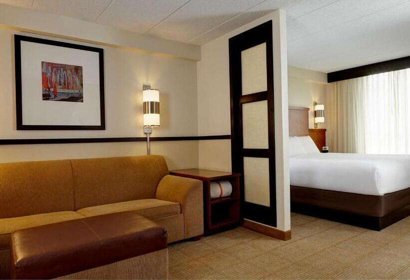 适合残疾人士使用的带超级大床的标准间, Hyatt Place Memphis Germantown