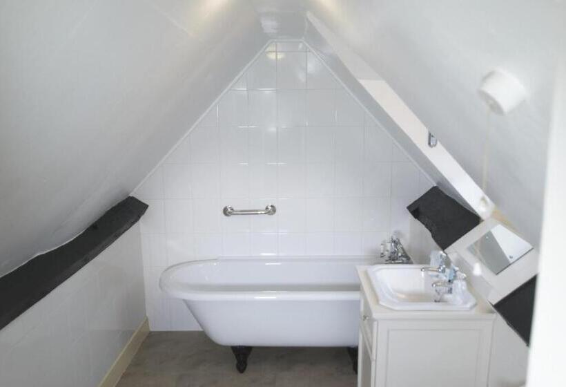 Номер Deluxe Кровать Кинг, New Inn