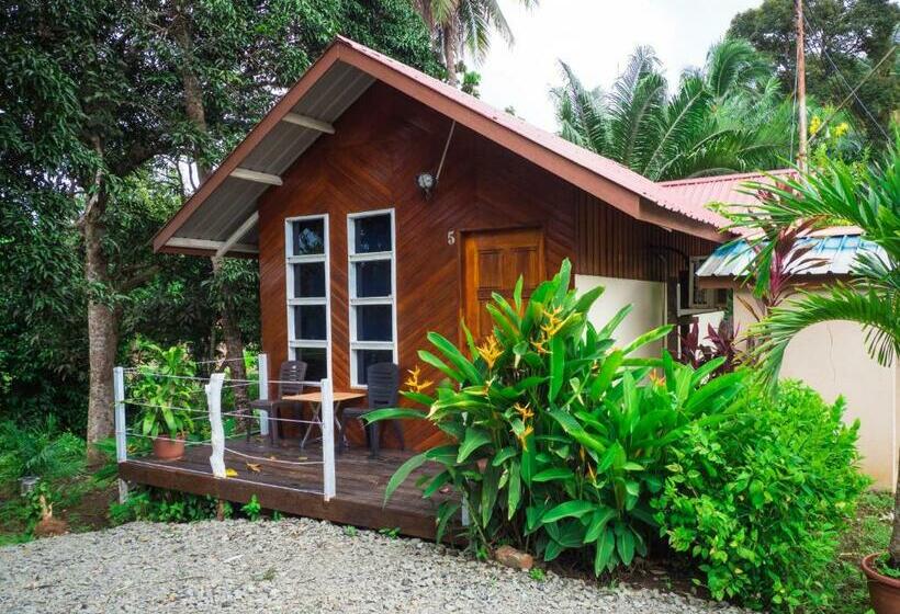 Номер Стандарт Вид на Сад, Timba Garden Free Town And Jetty Transport