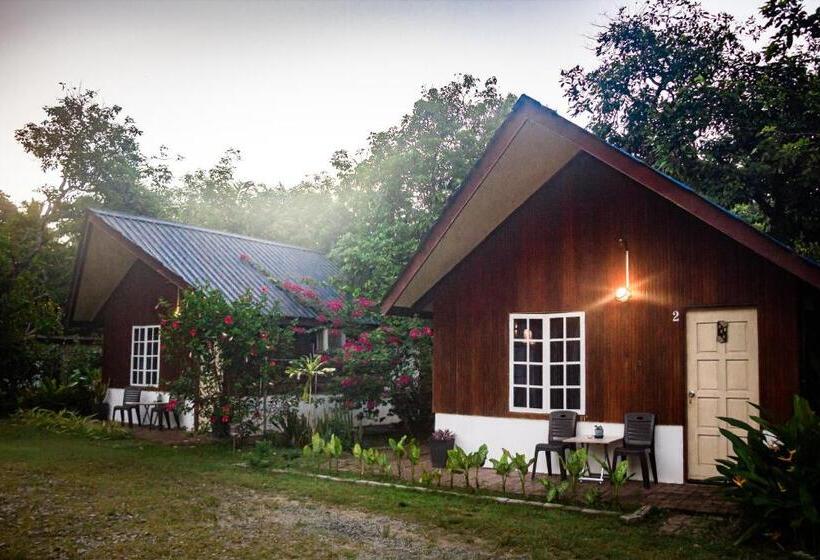 Номер Стандарт Вид на Сад, Timba Garden Free Town And Jetty Transport