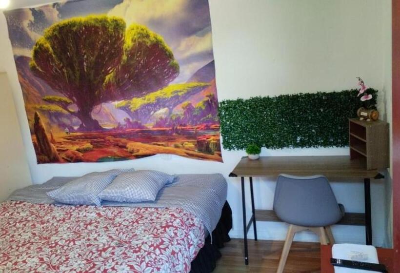 اتاق لوکس یک تخته, El Valle