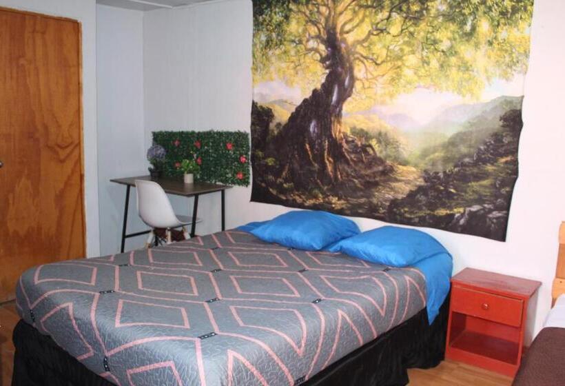 اتاق لوکس یک تخته, El Valle