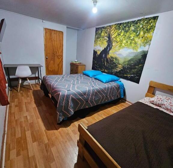 اتاق استاندارد سه نفره, El Valle