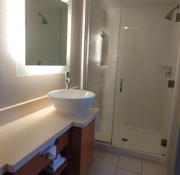 Студио Стандарт Кровать Кинг, Springhill Suites By Marriott Corpus Christi