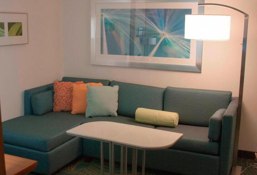 Студия Стандарт, Springhill Suites By Marriott Corpus Christi