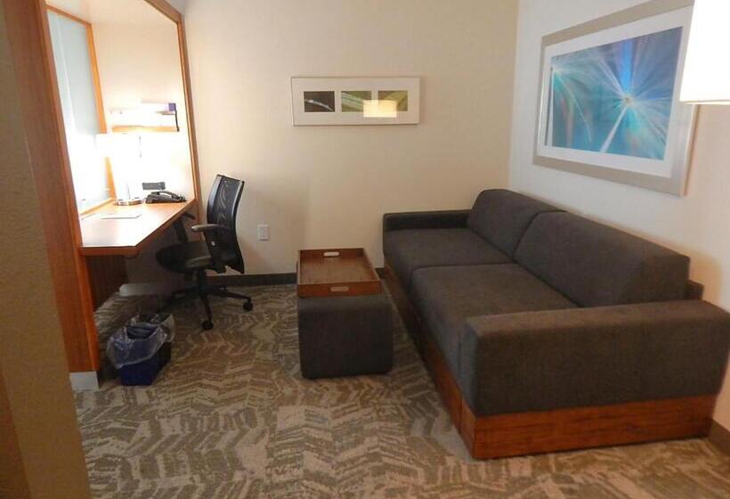 Студия Стандарт, Springhill Suites By Marriott Corpus Christi