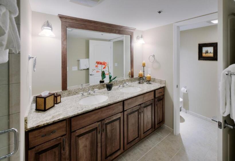 Студия Стандарт, The Residences At Biltmore   Asheville