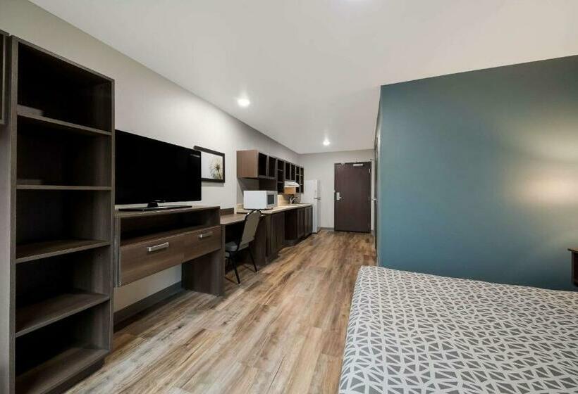 Suíte, Woodspring Suites San Antonio Utsa   Medical Center