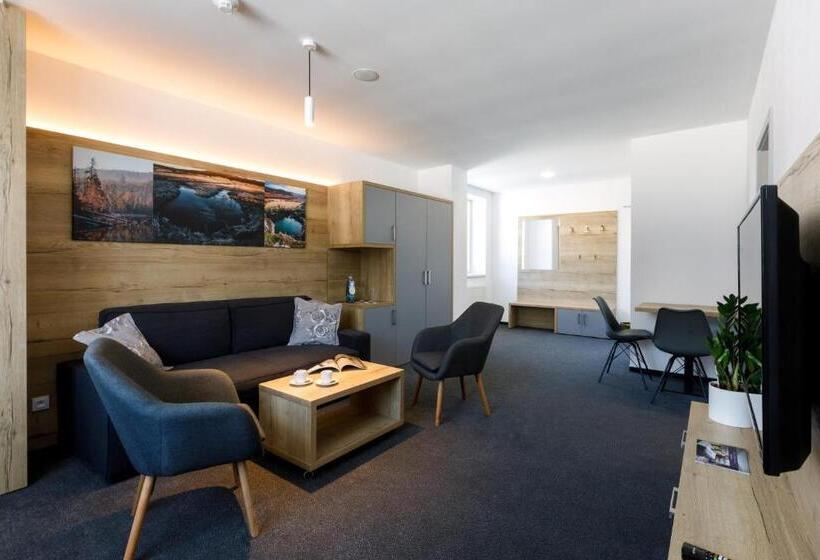 带1个卧室的豪华公寓, Sporthotel Olympia