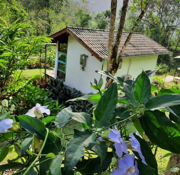 스탠다드 발코니 룸, Paiol Eco Suites