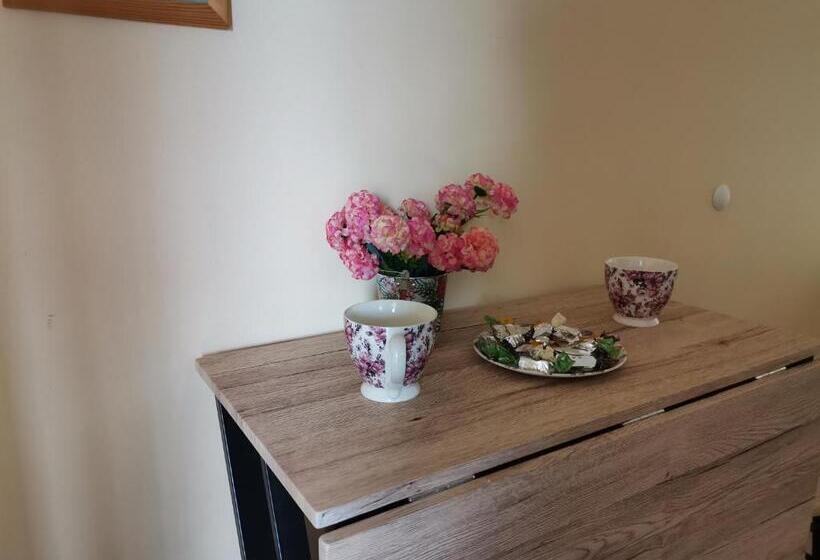 Family Suite, Guest House 51