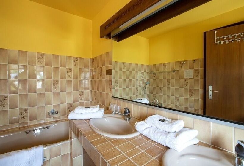 Номер Стандарт Трехместный, Hôtel Restaurant Et Spa Au Tilleul
