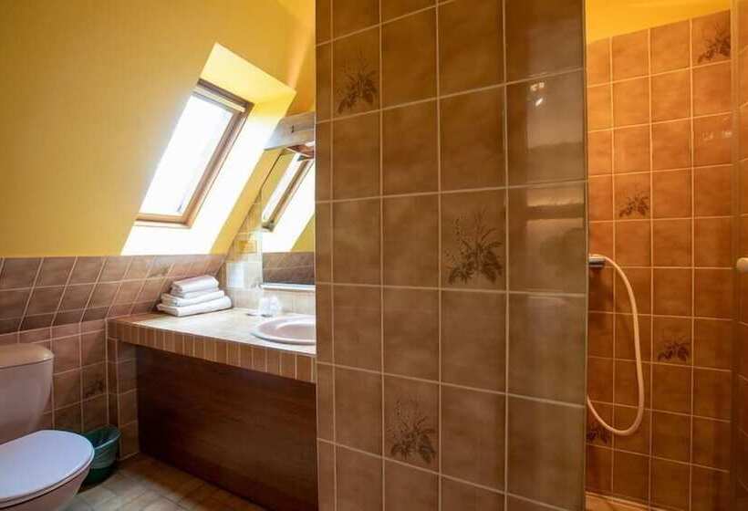 Номер Стандарт Индивидуальный, Hôtel Restaurant Et Spa Au Tilleul