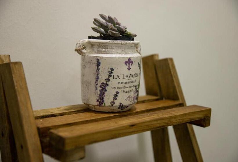 آپارتمان لوکس 1 خوابه, Casa Jima Agave