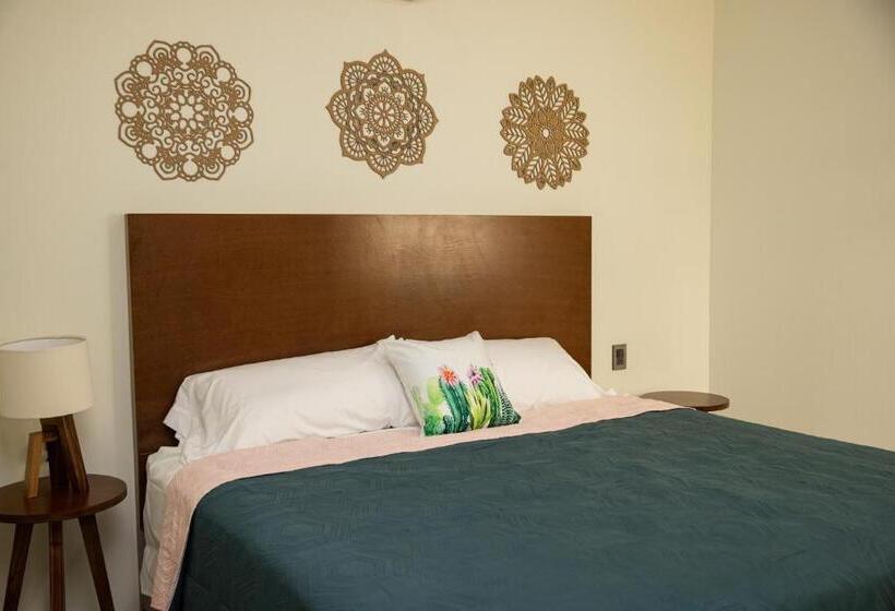 استودیو خانوادگی, Casa Jima Agave