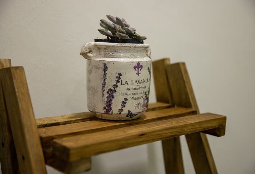 آپارتمان لوکس 1 خوابه, Casa Jima Agave