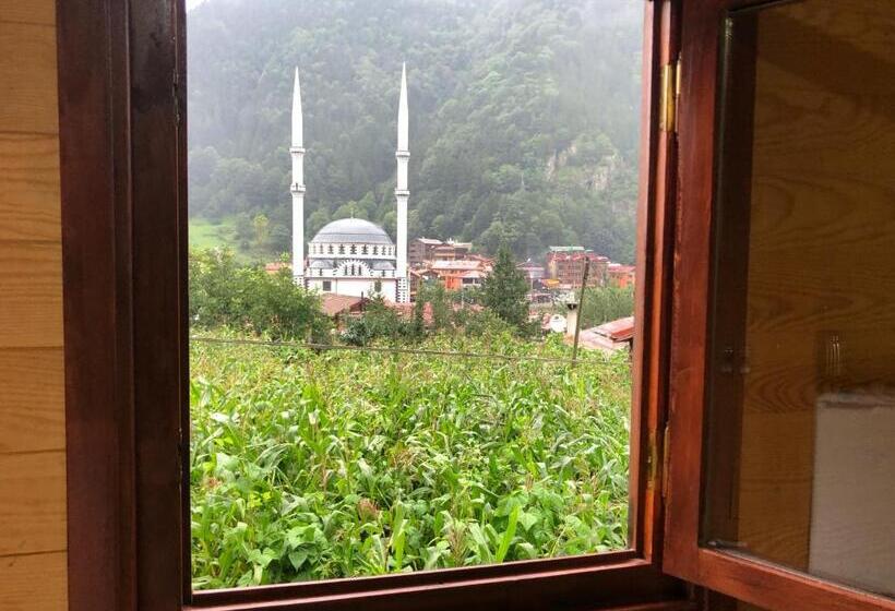 اتاق خانوادگی با چشم‌انداز کوه, Cerrahpaşa Sui̇te