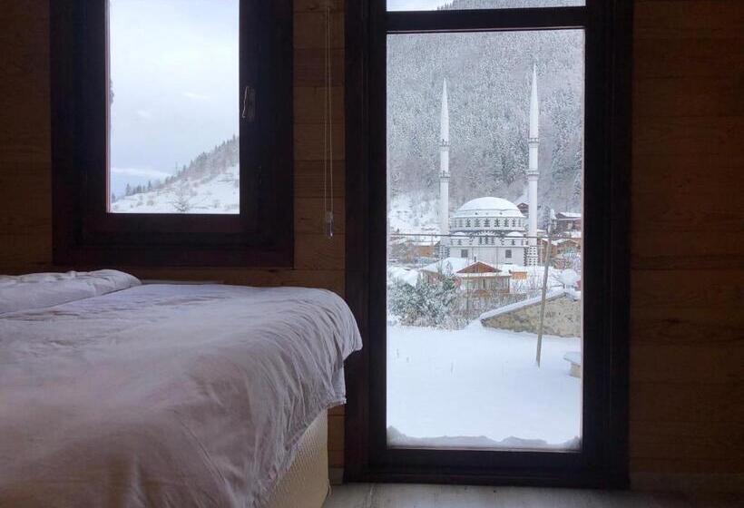 اتاق استاندارد سه نفره, Cerrahpaşa Sui̇te