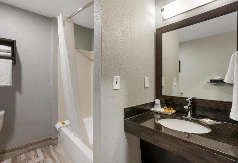 Номер Стандарт Адаптированный для Инвалидов, Best Western Plus Columbia Inn