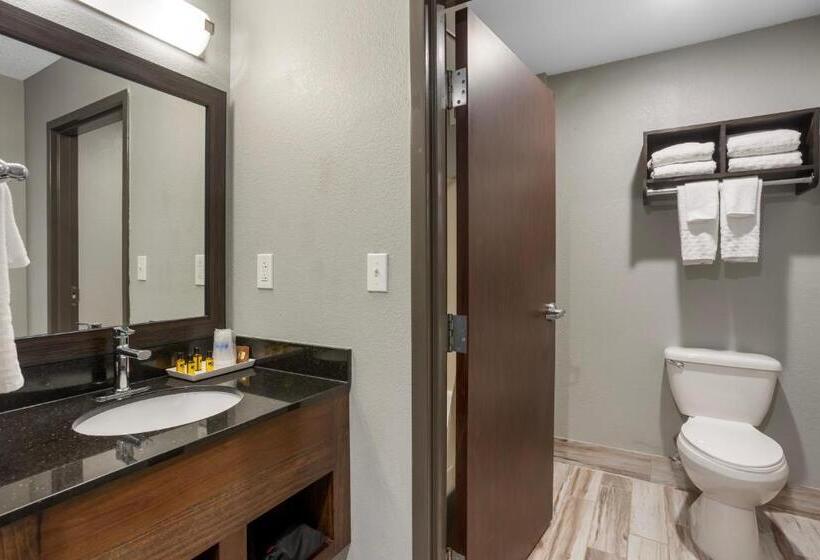 Номер Стандарт Кровать Кинг Адаптированный для Инвалидов, Best Western Plus Columbia Inn