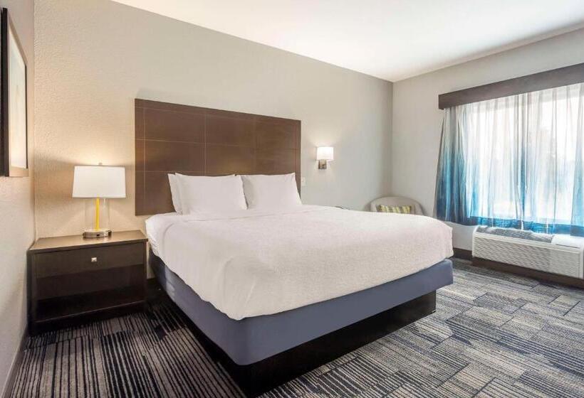 Стандартный Номер Кровать Кинг, Best Western Plus Columbia Inn