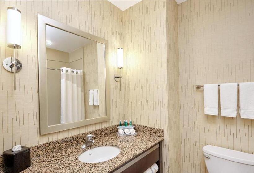 이그제큐티브 스위트, Holiday Inn Express And Suites Columbia University Area, An Ihg
