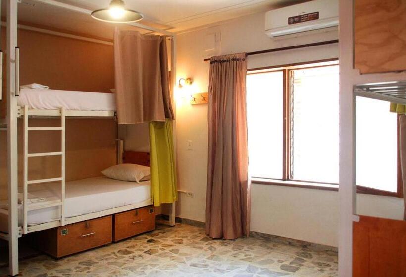 공동 객실, Cacao Hostel Santa Marta