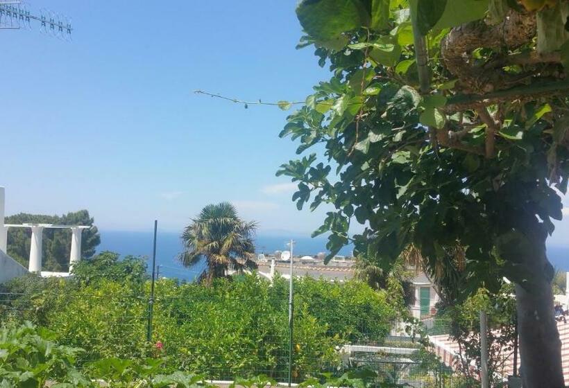 豪华房间, Villa Dei Fiori B&b