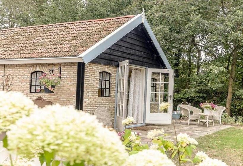 스탠다드 룸, Bed & Breakfast De Appelaar