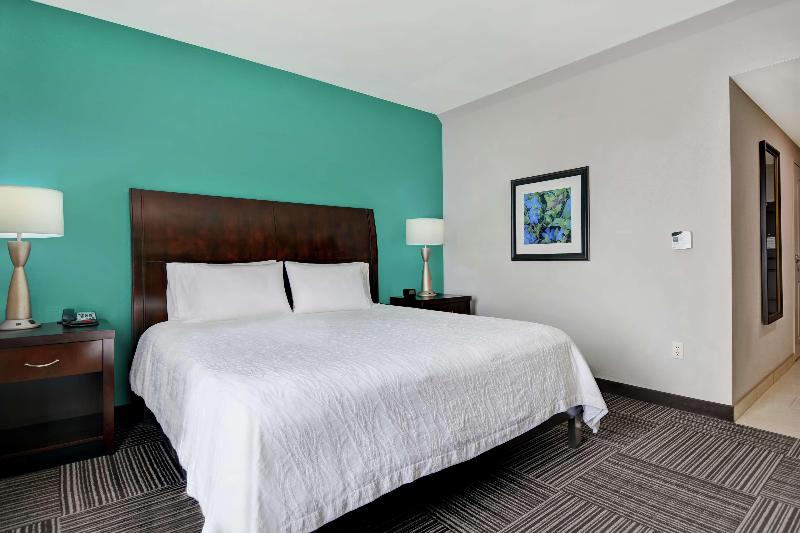 Люкс Кровать Кинг, Hilton Garden Inn Fayettevile