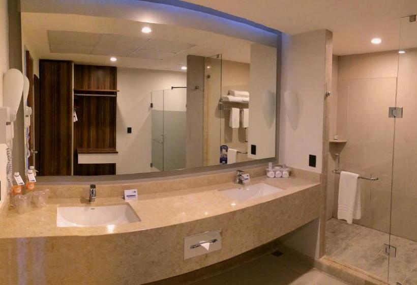 اتاق استاندارد با تخت بزرگ, Holiday Inn Express Puerto Vallarta, An Ihg