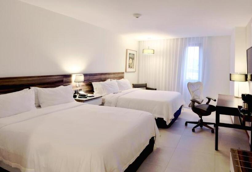 اتاق استاندارد, Holiday Inn Express Puerto Vallarta, An Ihg