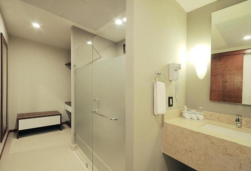 سوئیت با تخت بزرگ, Holiday Inn Express Puerto Vallarta, An Ihg