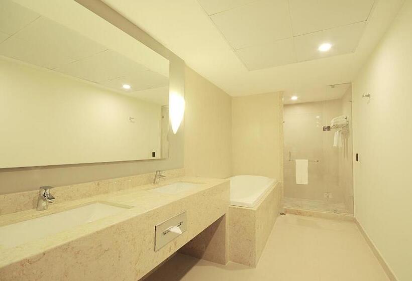 سوئیت با تخت بزرگ, Holiday Inn Express Puerto Vallarta, An Ihg