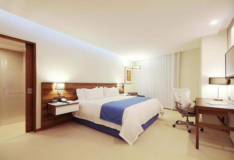 اتاق استاندارد با تخت بزرگ برای معلولان, Holiday Inn Express Puerto Vallarta, An Ihg