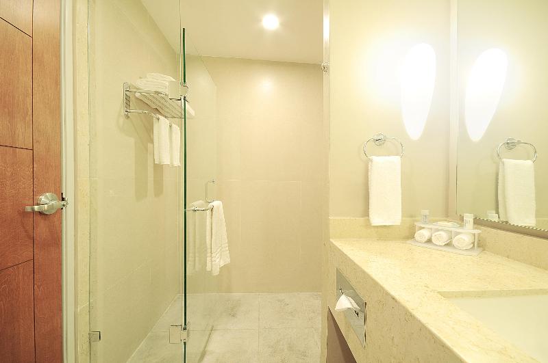 اتاق استاندارد با تخت بزرگ, Holiday Inn Express Puerto Vallarta, An Ihg