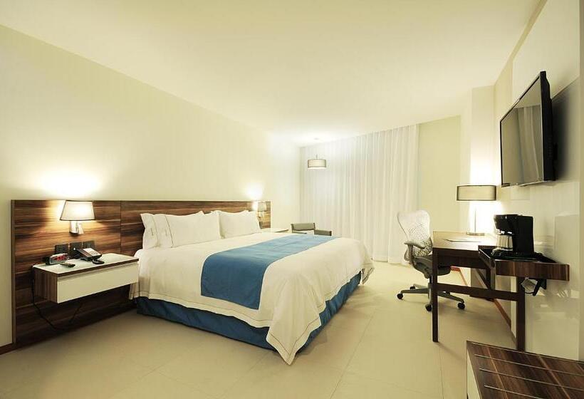 اتاق استاندارد با تخت بزرگ, Holiday Inn Express Puerto Vallarta, An Ihg