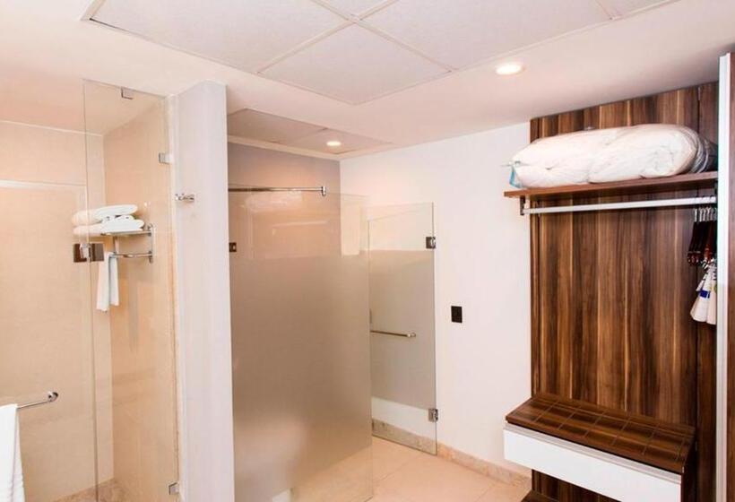 سوئیت اجرایی با تخت کینگ, Holiday Inn Express Puerto Vallarta, An Ihg