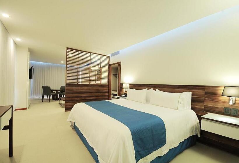 سوئیت اجرایی با تخت کینگ, Holiday Inn Express Puerto Vallarta, An Ihg