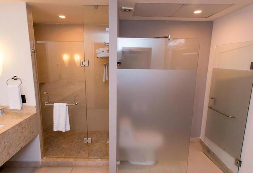 سوئیت با تخت بزرگ, Holiday Inn Express Puerto Vallarta, An Ihg