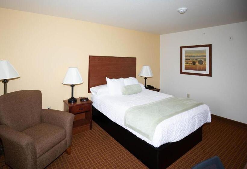 Номер Стандарт, Park View Inn & Suites