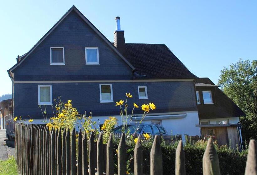 Номер Стандартный с Видом, Ferienwohnung & Gästezimmer Schrichten