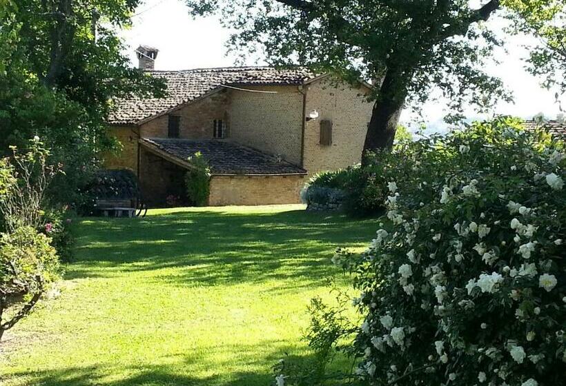 Студия Стандарт, B&b I Canonici