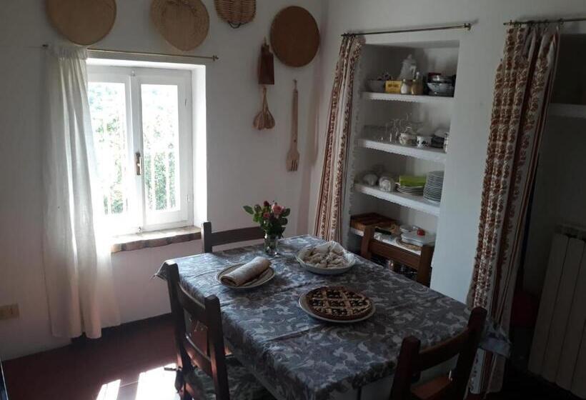 Студия Стандарт, B&b I Canonici