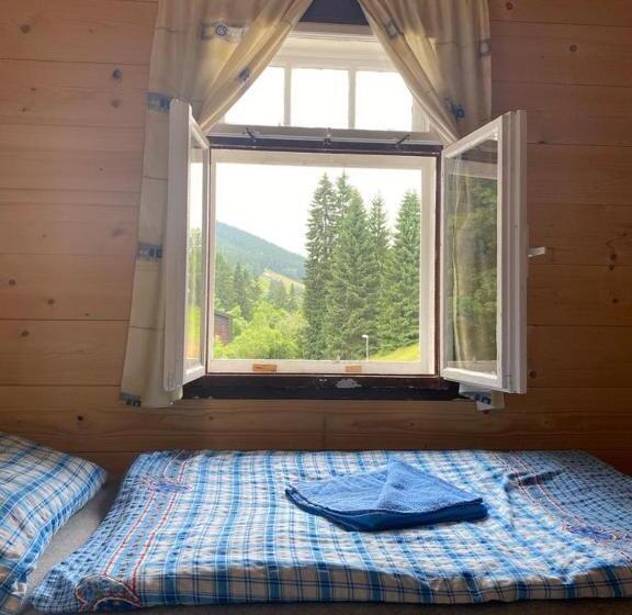 Номер Стандарт, Penzion Lesní Zátiší  Harrachov