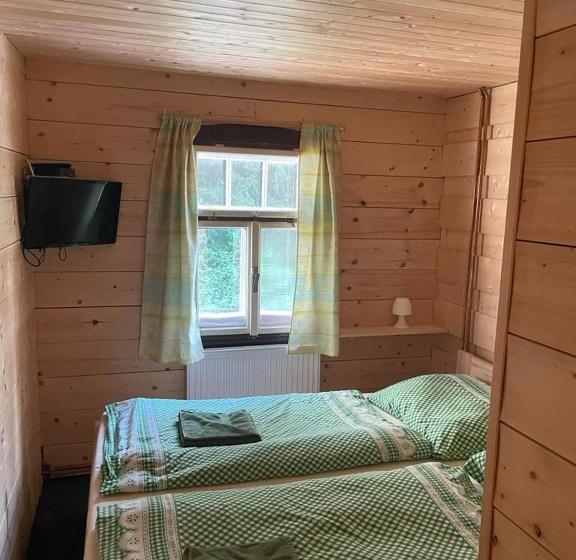 Апартаменты 2 Спальни, Penzion Lesní Zátiší  Harrachov