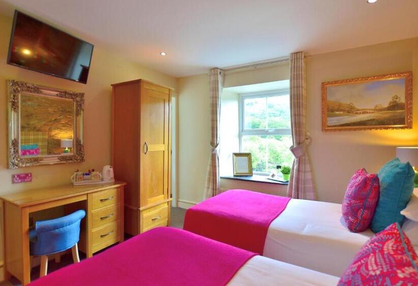 Номер Стандарт Вид на Горы, Bryn Tyrch Rooms