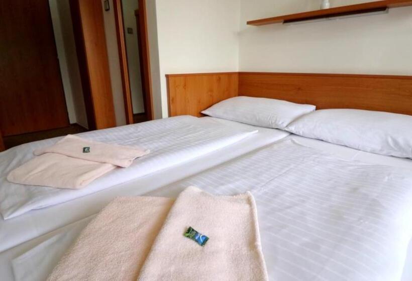 اتاق استاندارد, Horský Hotel Neptun